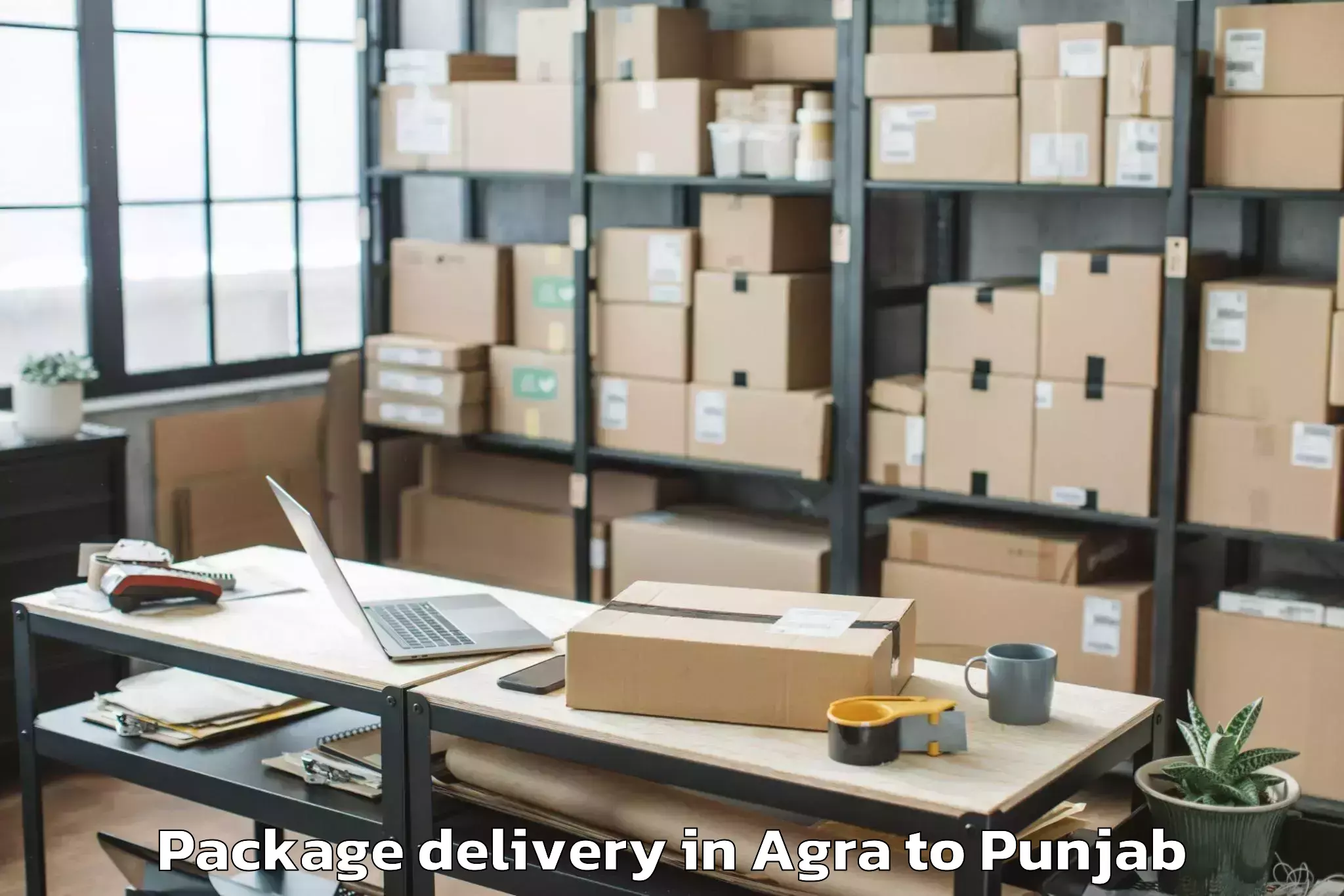 Easy Agra to Guru Kashi University Talwandi Package Delivery Booking